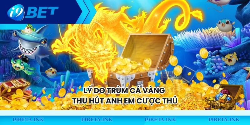 Lý do Trùm Cá Vàng thu hút anh em cược thủ